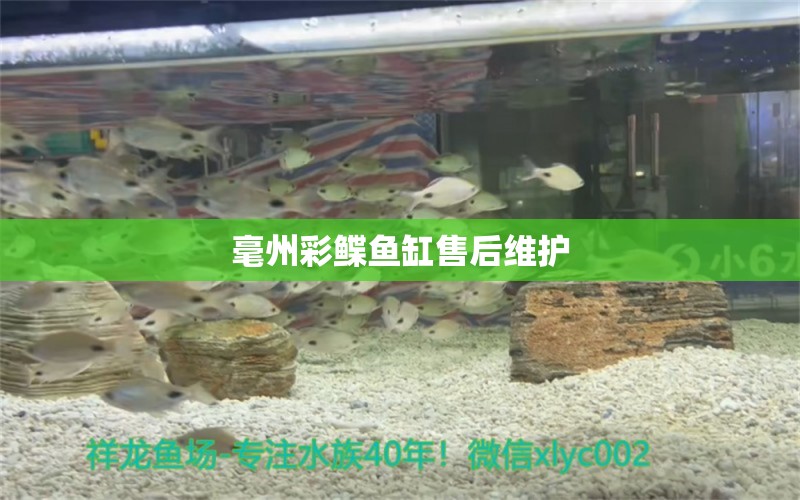 毫州彩鰈魚缸售后維護(hù)