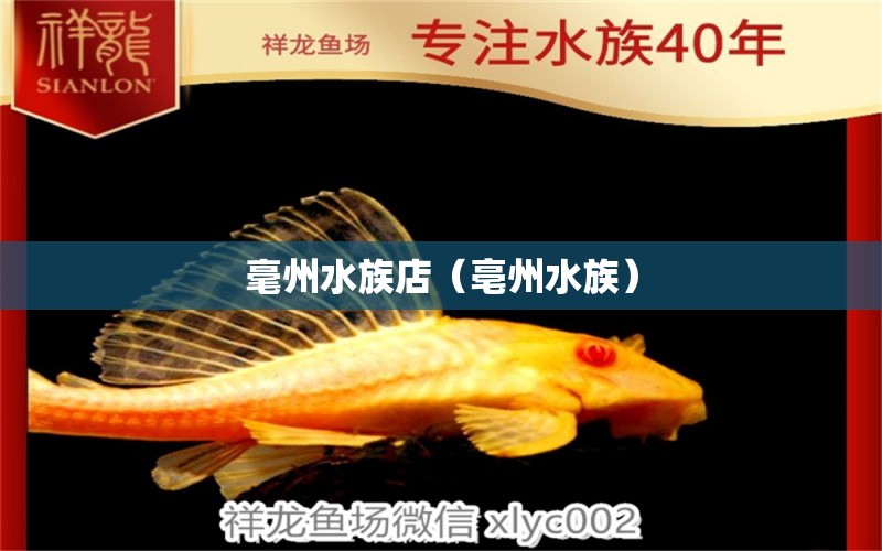 毫州水族店（亳州水族） 觀賞魚市場