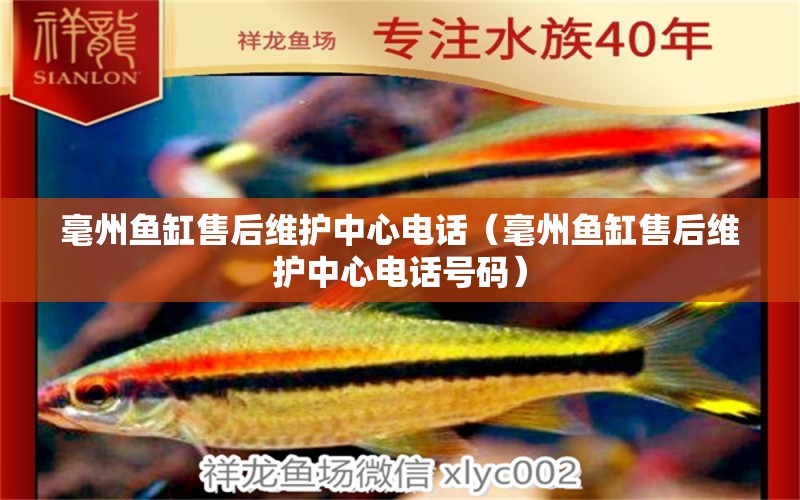 毫州魚缸售后維護(hù)中心電話（毫州魚缸售后維護(hù)中心電話號碼） 其他品牌魚缸