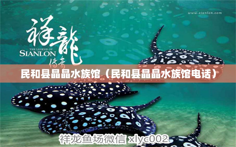 民和縣晶晶水族館（民和縣晶晶水族館電話） 全國(guó)水族館企業(yè)名錄 第1張