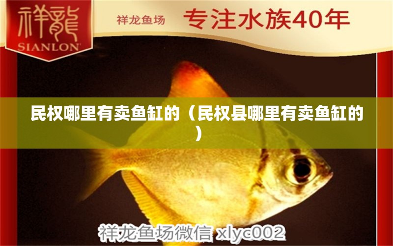 民權(quán)哪里有賣魚缸的（民權(quán)縣哪里有賣魚缸的） 海象魚