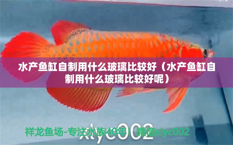 水產(chǎn)魚缸自制用什么玻璃比較好（水產(chǎn)魚缸自制用什么玻璃比較好呢）