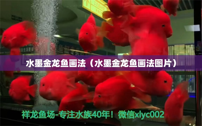 水墨金龍魚畫法（水墨金龍魚畫法圖片）