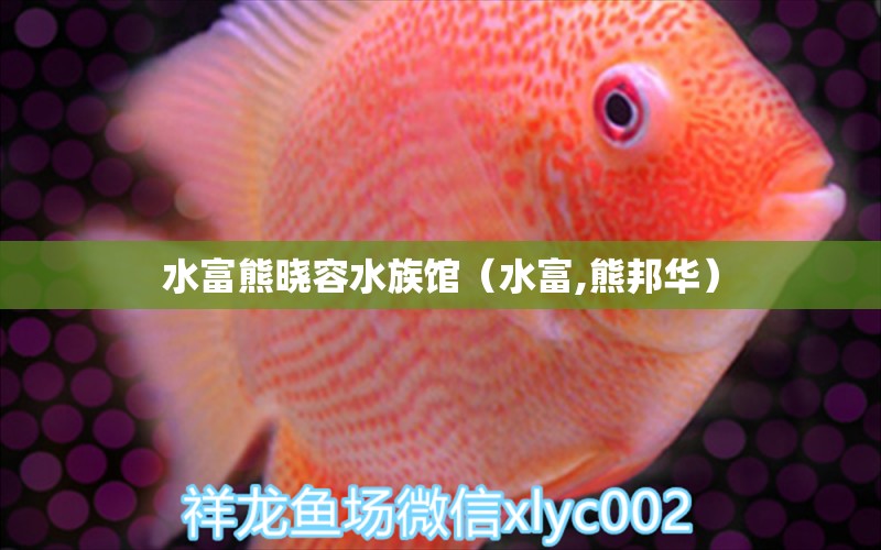 水富熊曉容水族館（水富,熊邦華） 全國水族館企業(yè)名錄