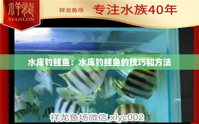 水庫釣鯉魚：水庫釣鯉魚的技巧和方法 垂釣樂園