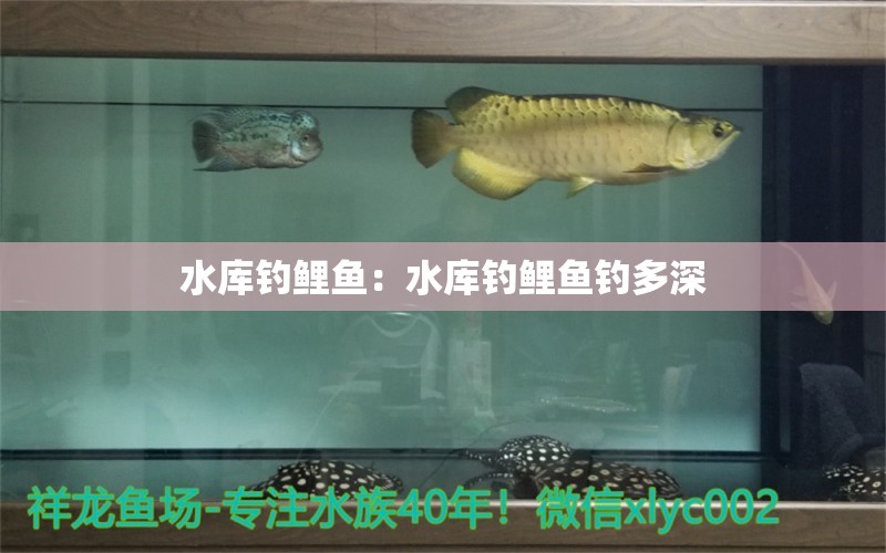 水庫釣鯉魚：水庫釣鯉魚釣多深 垂釣樂園