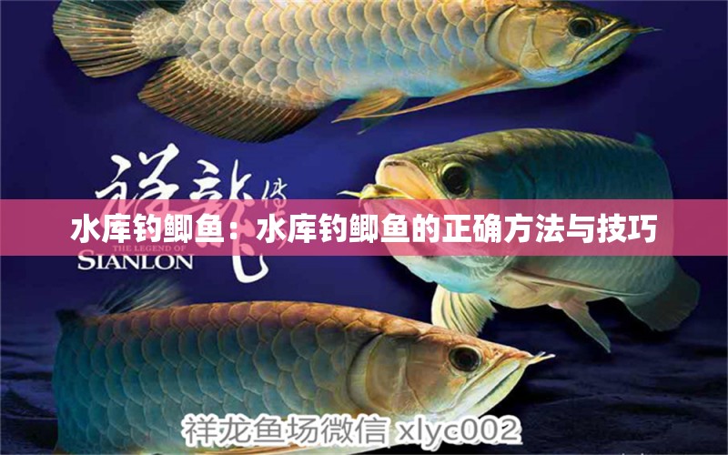 水庫(kù)釣鯽魚：水庫(kù)釣鯽魚的正確方法與技巧 垂釣樂園