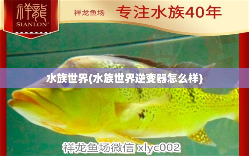 水族世界(水族世界逆變器怎么樣) 魚缸水泵 第1張