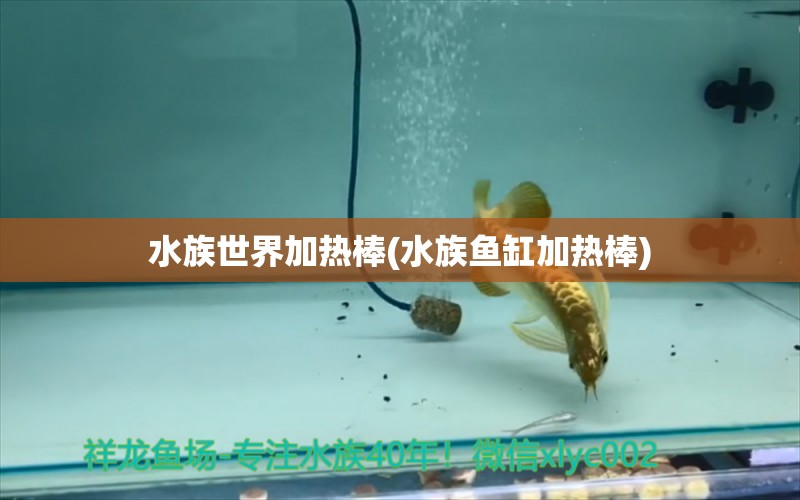 水族世界加熱棒(水族魚缸加熱棒) 其他品牌魚缸