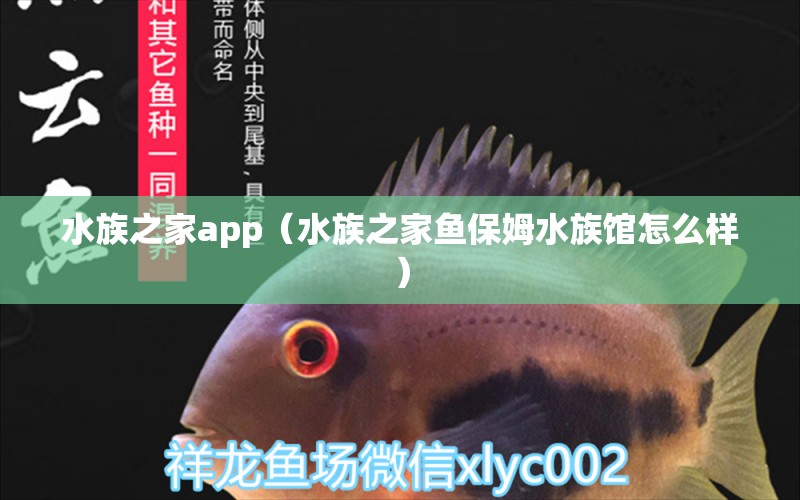 水族之家app（水族之家魚保姆水族館怎么樣）