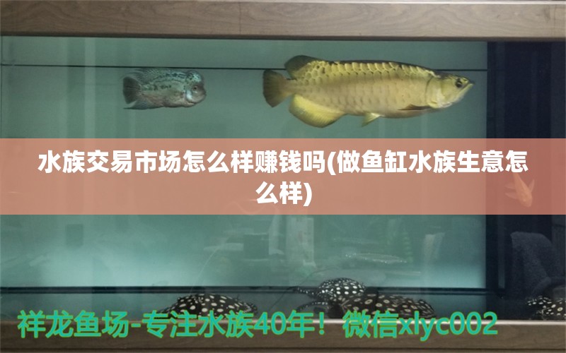 水族交易市場怎么樣賺錢嗎(做魚缸水族生意怎么樣) 海象魚