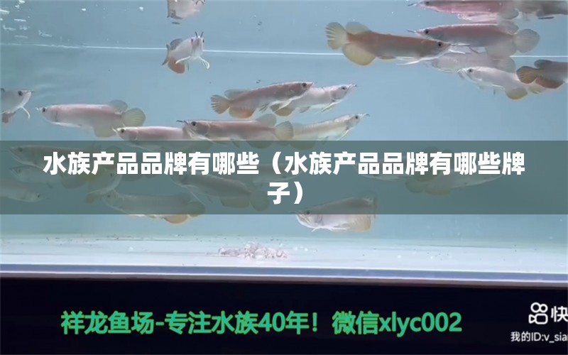 水族產(chǎn)品品牌有哪些（水族產(chǎn)品品牌有哪些牌子） 其他品牌魚缸