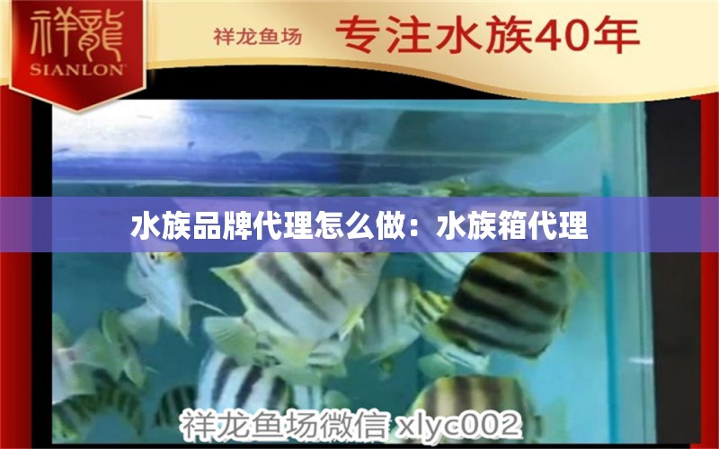 水族品牌代理怎么做：水族箱代理