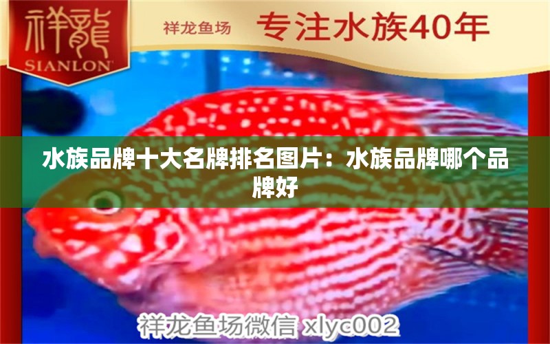 水族品牌十大名牌排名圖片：水族品牌哪個(gè)品牌好