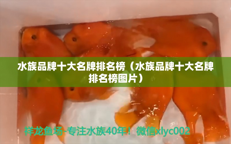 水族品牌十大名牌排名榜（水族品牌十大名牌排名榜圖片）