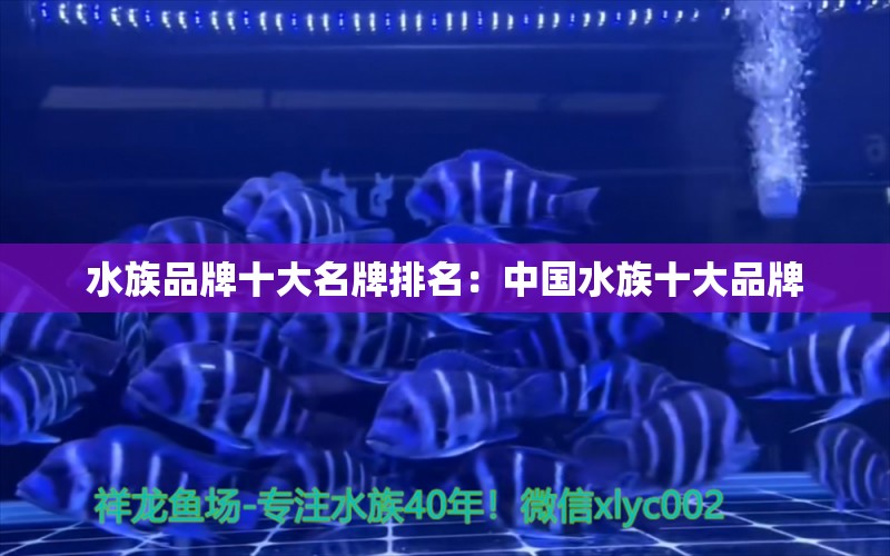 水族品牌十大名牌排名：中國水族十大品牌