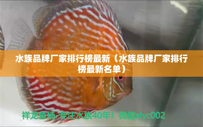 水族品牌廠家排行榜最新（水族品牌廠家排行榜最新名單）