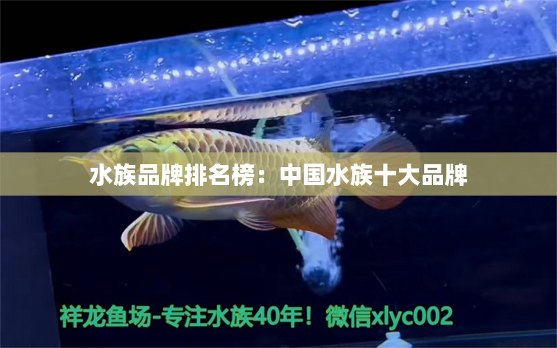 水族品牌排名榜：中國(guó)水族十大品牌