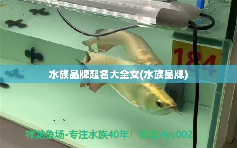 水族品牌起名大全女(水族品牌)