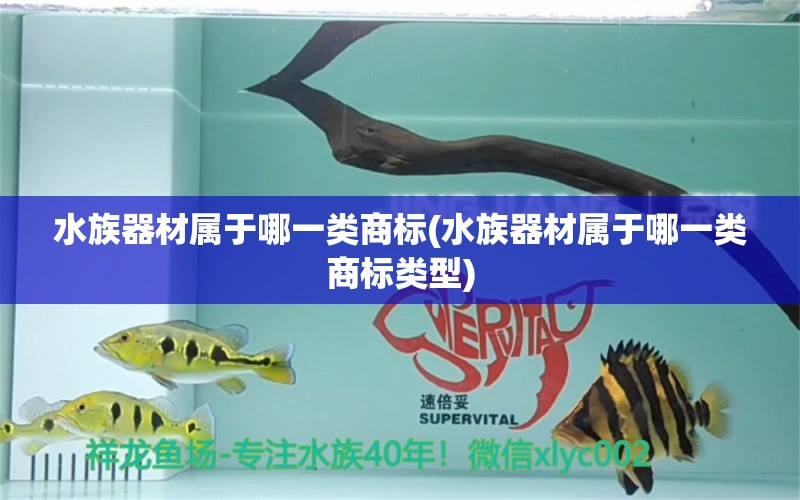 水族器材屬于哪一類商標(biāo)(水族器材屬于哪一類商標(biāo)類型) 虎魚百科