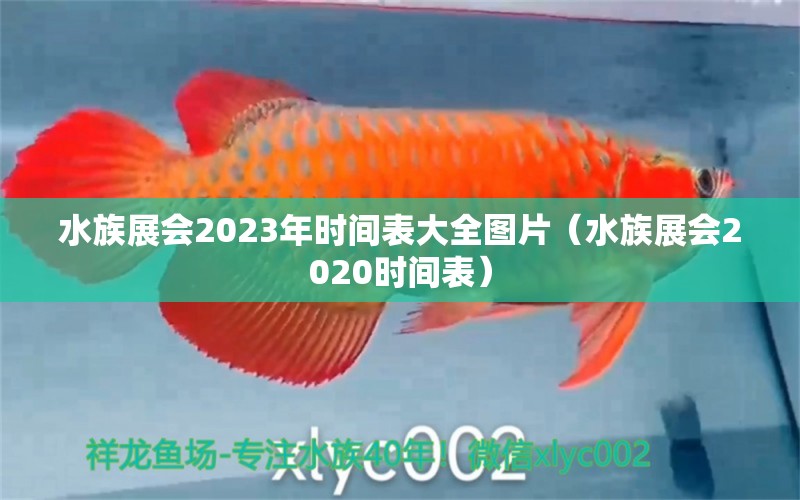 水族展會2023年時間表大全圖片（水族展會2020時間表）