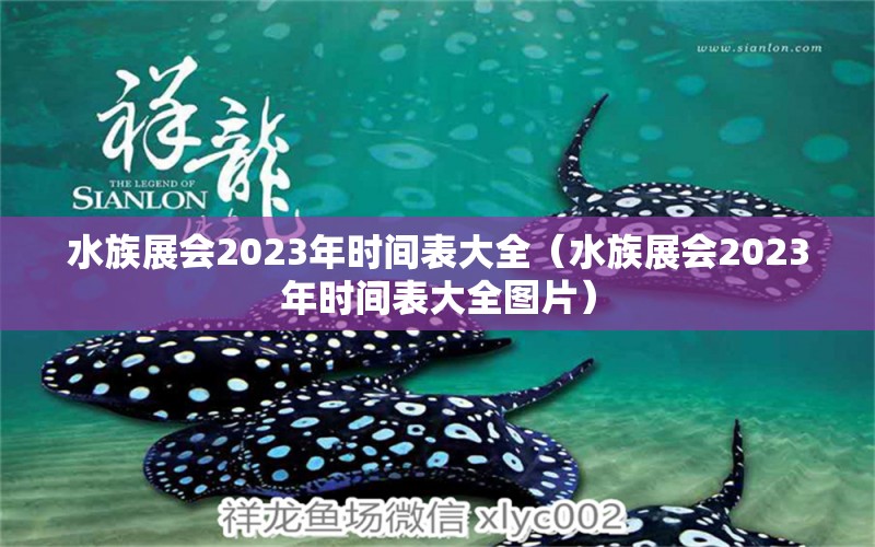 水族展會2023年時間表大全（水族展會2023年時間表大全圖片）