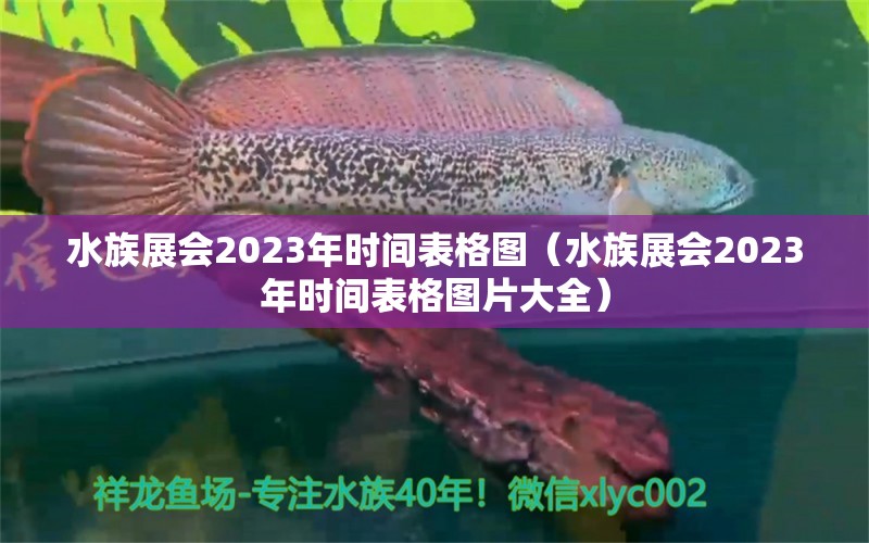 水族展會(huì)2023年時(shí)間表格圖（水族展會(huì)2023年時(shí)間表格圖片大全）