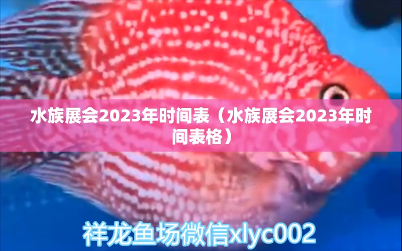 水族展會2023年時間表（水族展會2023年時間表格）