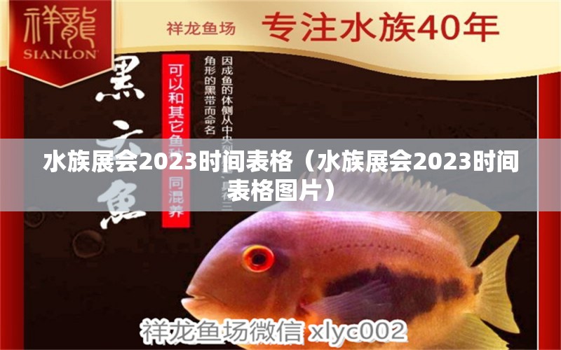 水族展會(huì)2023時(shí)間表格（水族展會(huì)2023時(shí)間表格圖片）