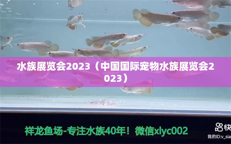 水族展覽會(huì)2023（中國(guó)國(guó)際寵物水族展覽會(huì)2023）