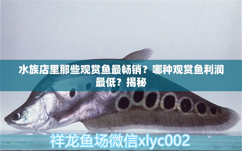 水族店里那些觀賞魚(yú)最暢銷(xiāo)？哪種觀賞魚(yú)利潤(rùn)最低？揭秘