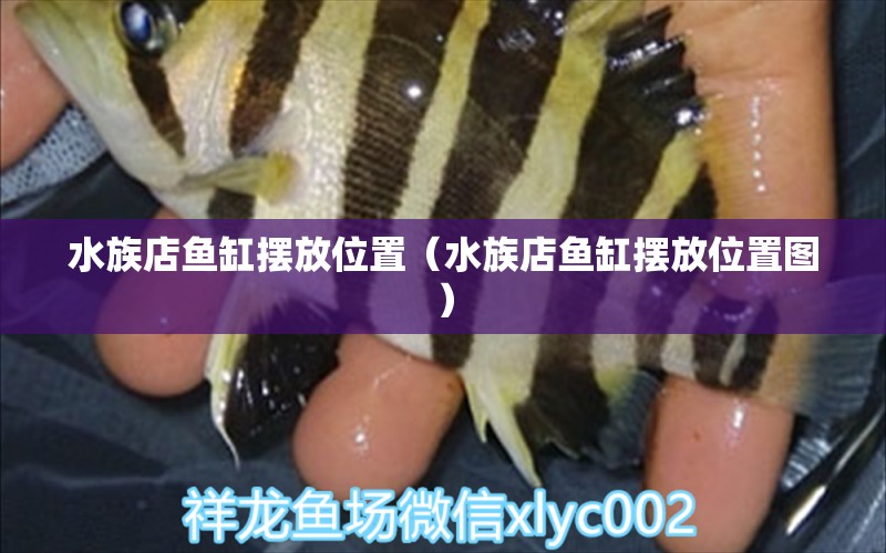 水族店魚缸擺放位置（水族店魚缸擺放位置圖）