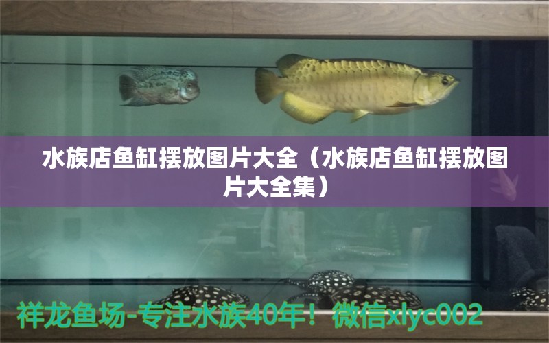 水族店魚(yú)缸擺放圖片大全（水族店魚(yú)缸擺放圖片大全集） 食人魚(yú)（水虎）