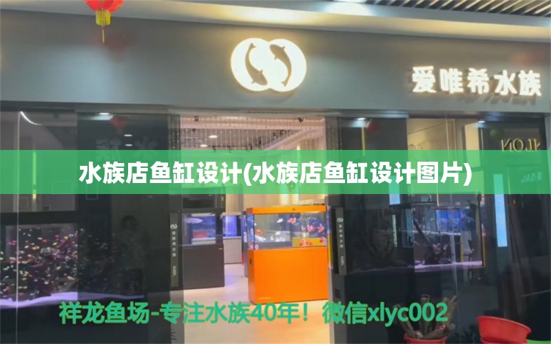 水族店魚缸設(shè)計(jì)(水族店魚缸設(shè)計(jì)圖片) 女王大帆魚苗