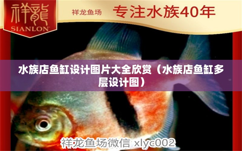 水族店魚缸設(shè)計圖片大全欣賞（水族店魚缸多層設(shè)計圖）