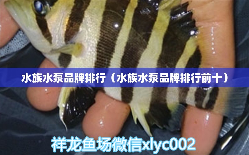 水族水泵品牌排行（水族水泵品牌排行前十）