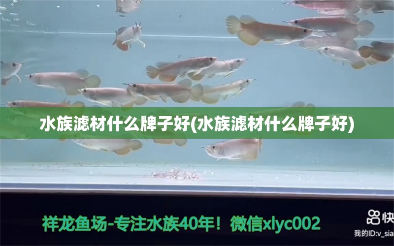 水族濾材什么牌子好(水族濾材什么牌子好)