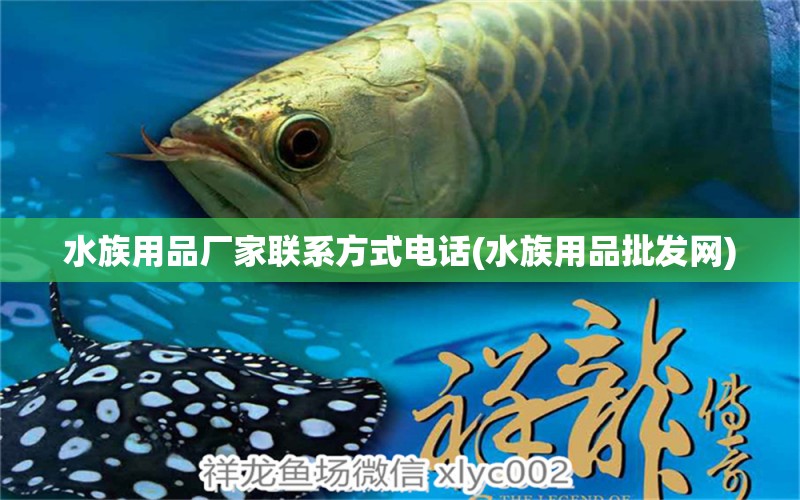 水族用品廠家聯(lián)系方式電話(水族用品批發(fā)網(wǎng)) 水族用品