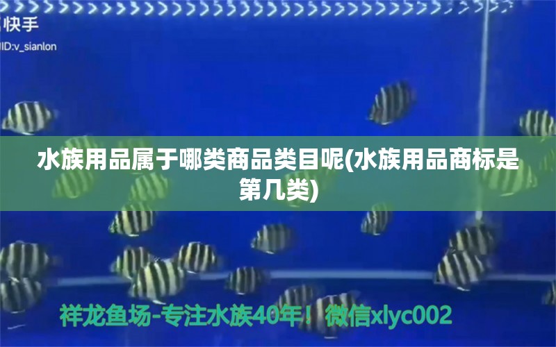 水族用品屬于哪類商品類目呢(水族用品商標是第幾類) 水族用品