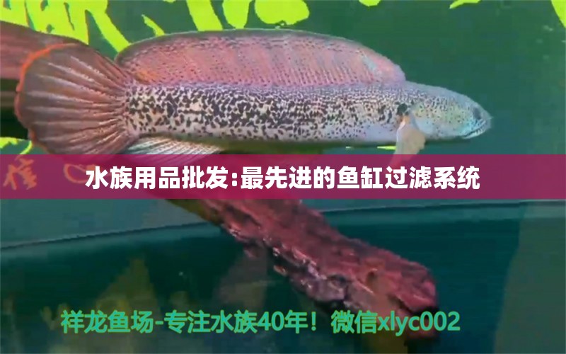 水族用品批發(fā):最先進(jìn)的魚缸過濾系統(tǒng)