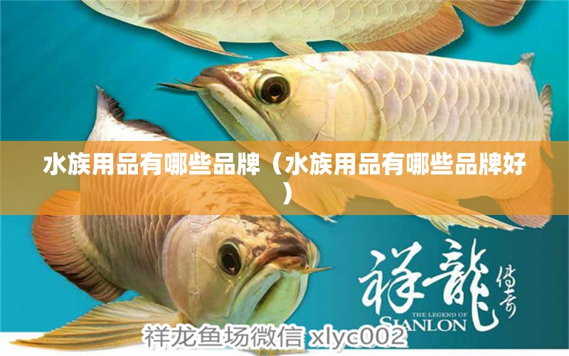 水族用品有哪些品牌（水族用品有哪些品牌好）