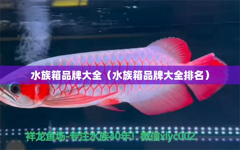 水族箱品牌大全（水族箱品牌大全排名） 魚缸/水族箱