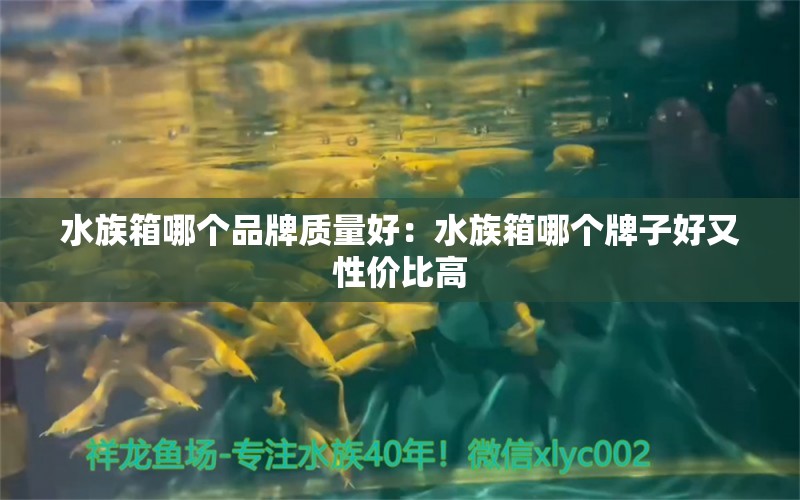 水族箱哪個品牌質(zhì)量好：水族箱哪個牌子好又性價比高