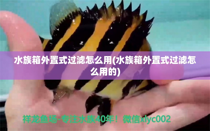 水族箱外置式過(guò)濾怎么用(水族箱外置式過(guò)濾怎么用的) 魚(yú)缸/水族箱