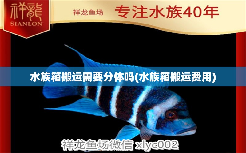 水族箱搬運(yùn)需要分體嗎(水族箱搬運(yùn)費(fèi)用) 魚缸/水族箱