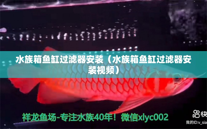 水族箱魚缸過濾器安裝（水族箱魚缸過濾器安裝視頻） 魚缸/水族箱