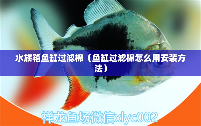 水族箱魚缸過濾棉（魚缸過濾棉怎么用安裝方法） 泰龐海蓮魚