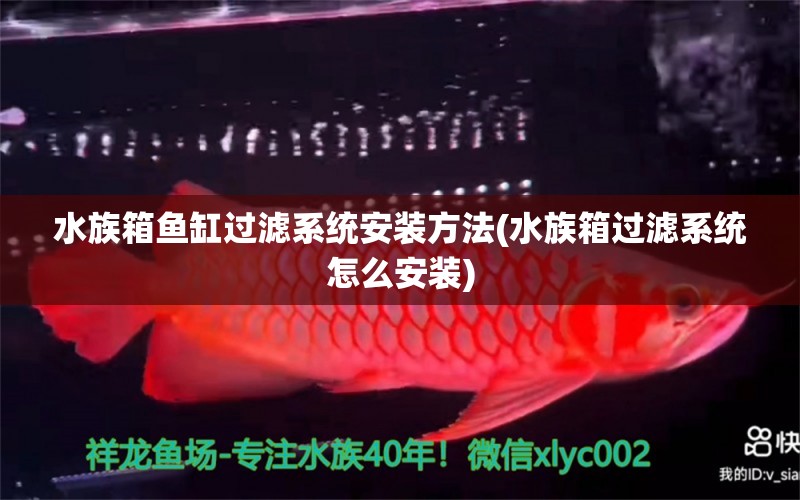 水族箱魚(yú)缸過(guò)濾系統(tǒng)安裝方法(水族箱過(guò)濾系統(tǒng)怎么安裝) 魚(yú)缸/水族箱