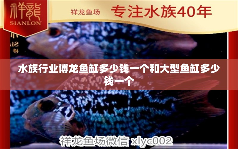 水族行業(yè)博龍魚缸多少錢一個(gè)和大型魚缸多少錢一個(gè) 紅勾銀版魚