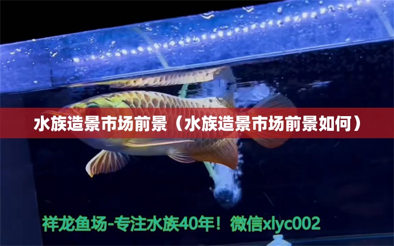 水族造景市場(chǎng)前景（水族造景市場(chǎng)前景如何） 廣州水族批發(fā)市場(chǎng)